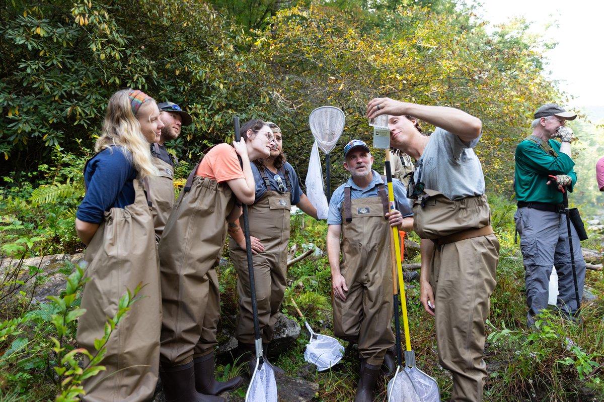 ClemsonCAFLS's tweet photo. Students and faculty in our Wildlife and Fisheries Biology program joined fisheries biologists from the @forestservice, @SCDNR and @GeorgiaWild on the Chattooga River to assist with an annual fisheries survey on Tuesday. 🐟 https://t.co/UWIgl8VNsL