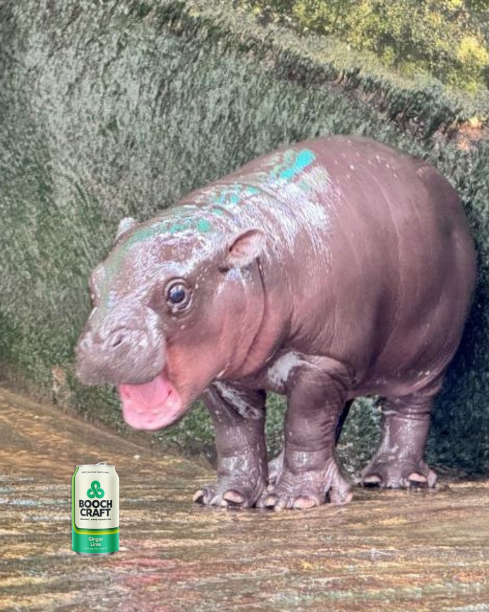 Boochcraft tweet media