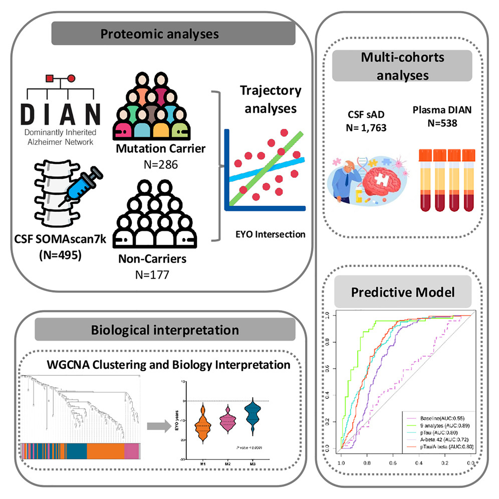 Thrilled to share that my first-author ADAD paper is now published in Cell (Principle) <a href="/CellCellPress/">Cell</a> ! 🎉 This exciting milestone comes just before I make the move to join <a href="/MoffittNews/">Moffitt Cancer Center</a>, where I'll be working with Dr. Yu and Dr. Li <a href="/UrogerliMD/">Roger Li</a> .

I am deeply grateful for the