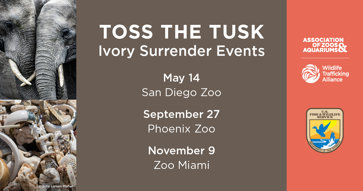 Wildlife Trafficking Alliance tweet media