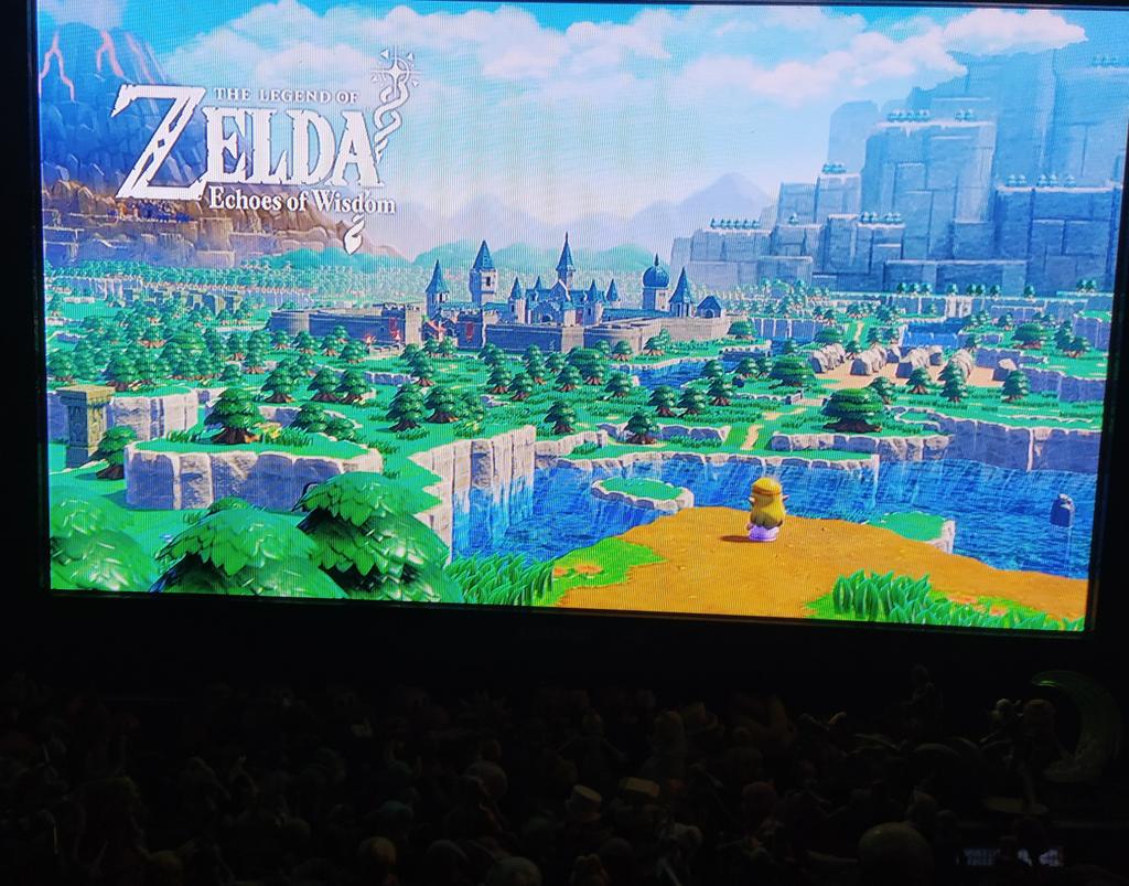 mourix's tweet photo. Sollte die Welt untergehen, ich bin die nächste Zeit leider nicht ansprechbar! #nintendofanboy #zelda #ZeldaEchoesofWisdom https://t.co/89hmFFb4q2