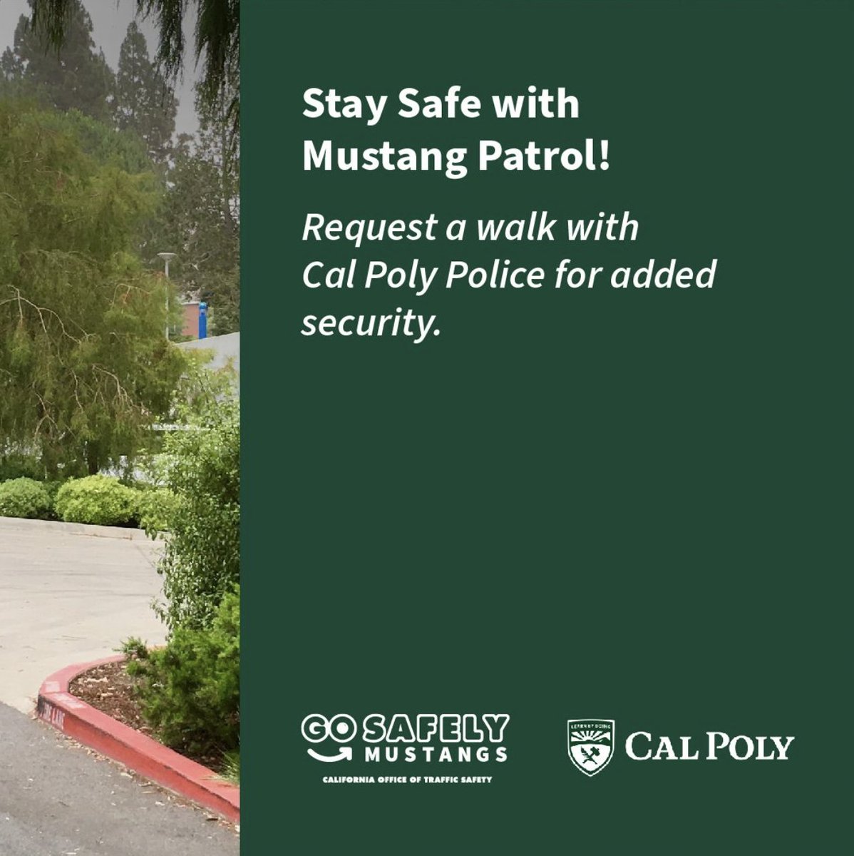 Staying late on campus? You’re never alone! Mustang Patrol is here to keep you safe—whether you're walking to your car, dorm, or another building, they’ve got your back. 

You can also request a walk with campus police for added security. Safety first, Mustangs!