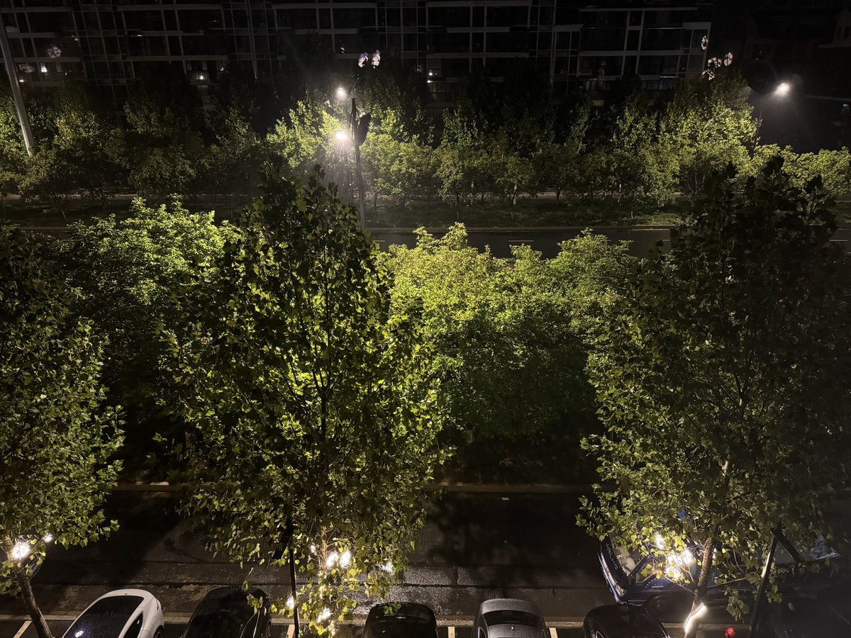 haonan08's tweet photo. 和小猫的下雨天 https://t.co/ucr68QZxAu