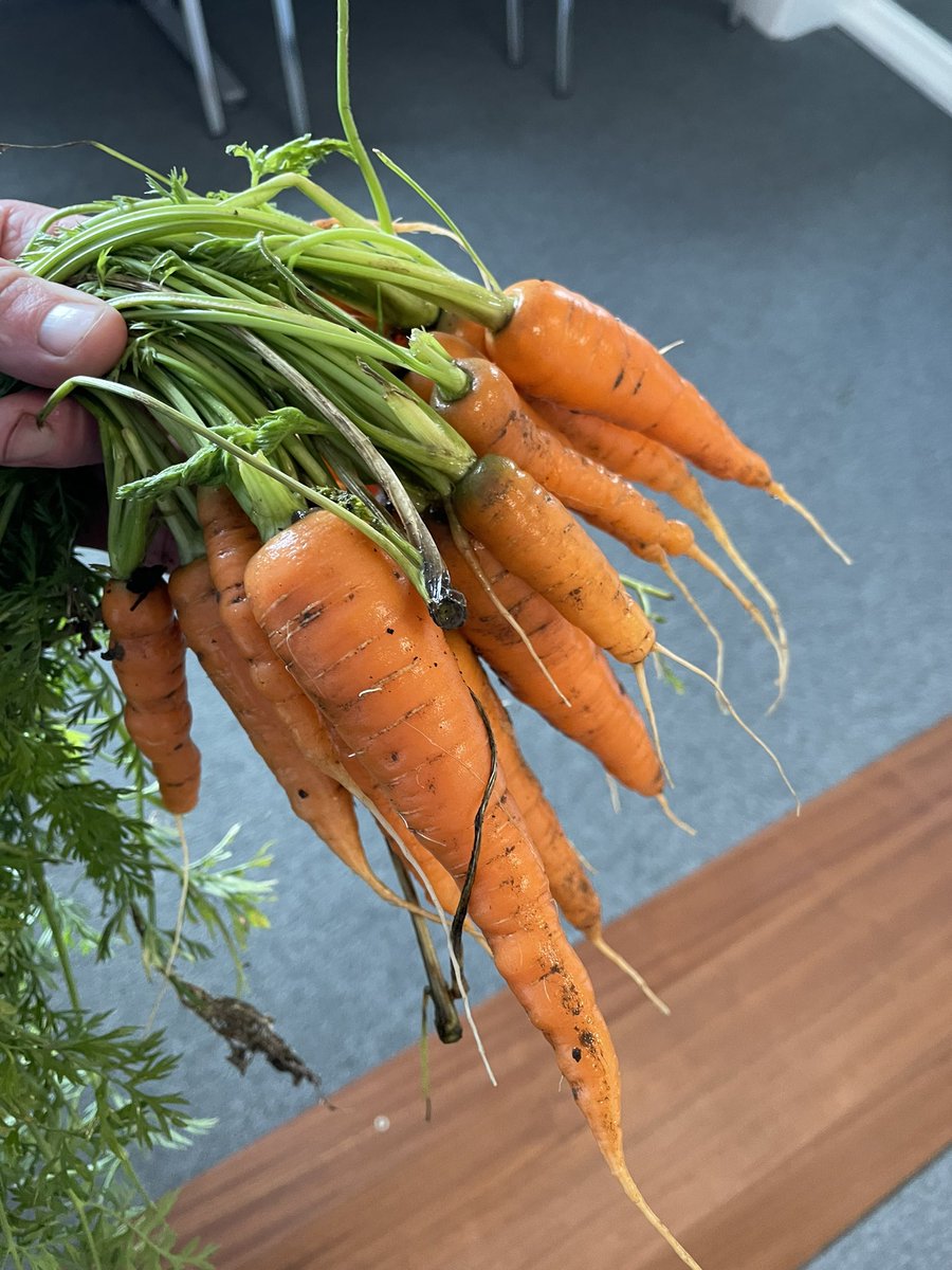 Back 2 Nature | Llantwit Major School tweet media