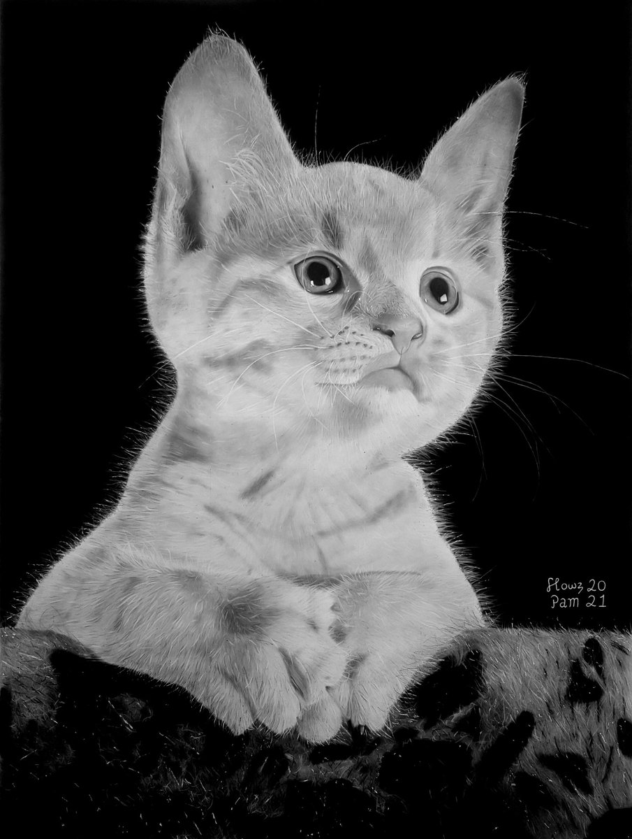 flowzpam's tweet image. Chop life ma guy 
While we're here, Pleaseeee repost my pencil drawing 🙏♥️