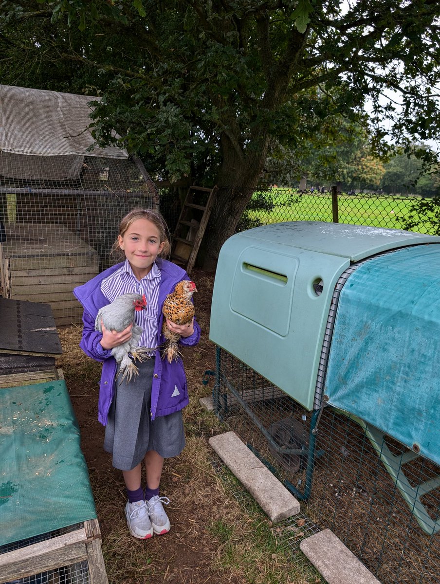 YH_SmallHolding's tweet image. The weather today didn&apos;t dampen the mood at morning break smallholding club! ☔ @YorkHouseSch