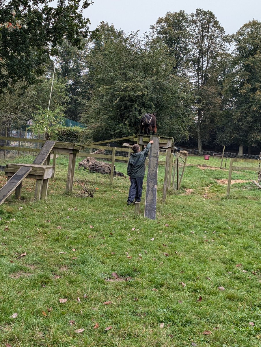 YH_SmallHolding's tweet image. The weather today didn&apos;t dampen the mood at morning break smallholding club! ☔ @YorkHouseSch