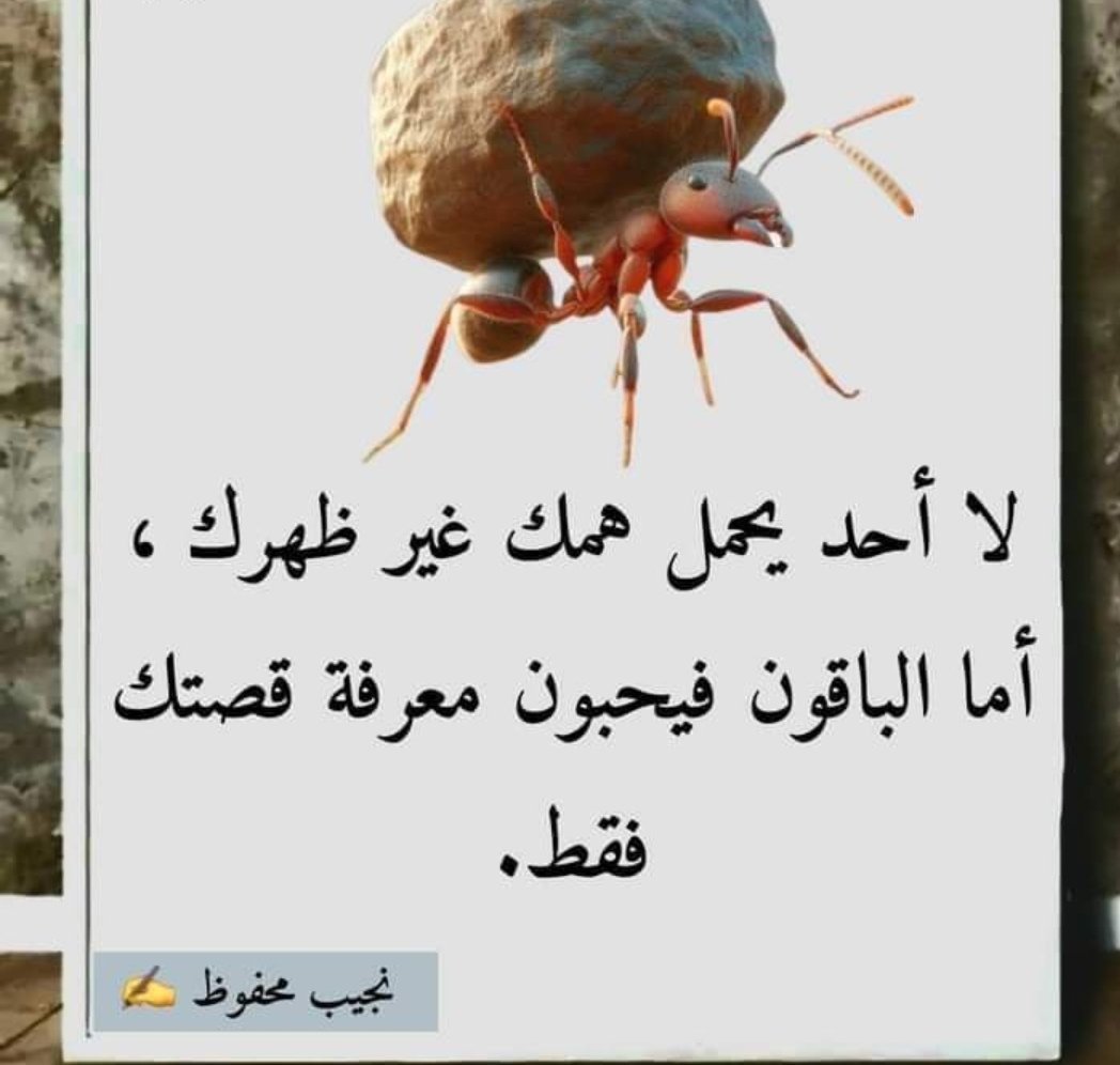 AHMED20223333's tweet photo. https://t.co/SNCeKPyzN5