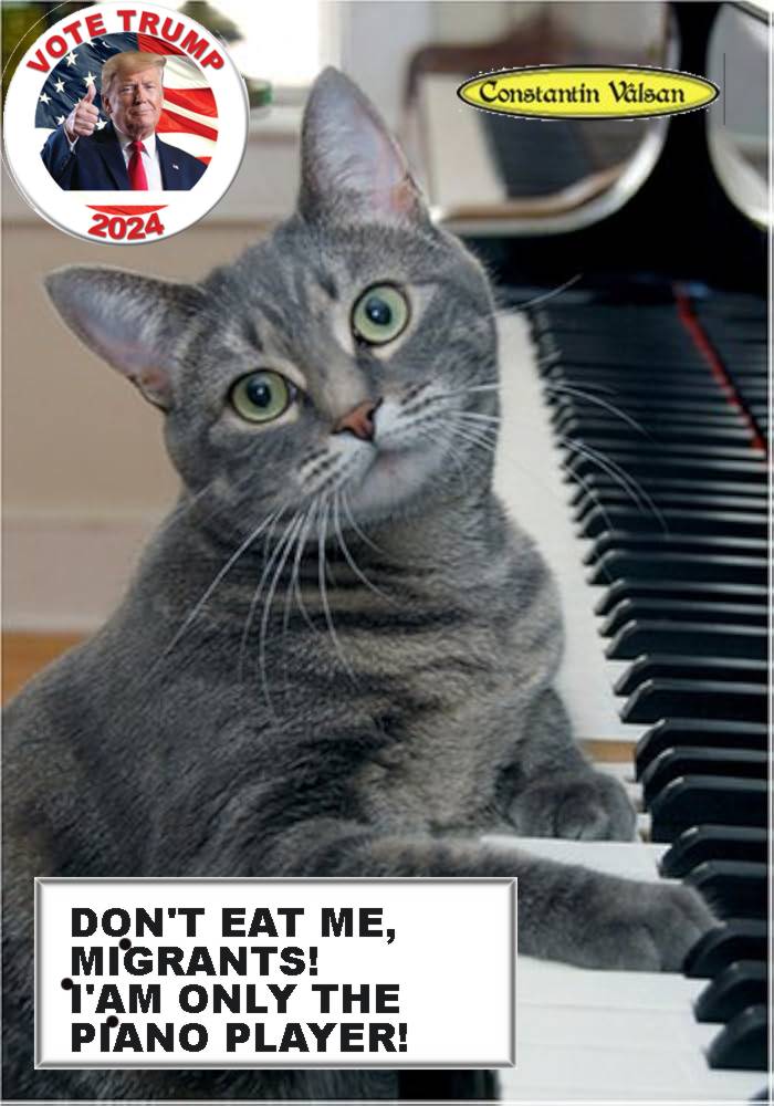 mmatei55's tweet photo. Do'nt  eat me! https://t.co/OBdULv9J61