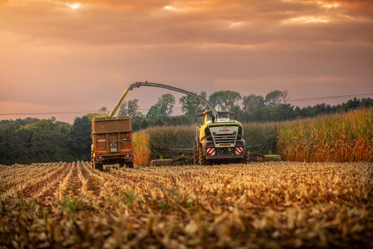 Will Jones tweet media