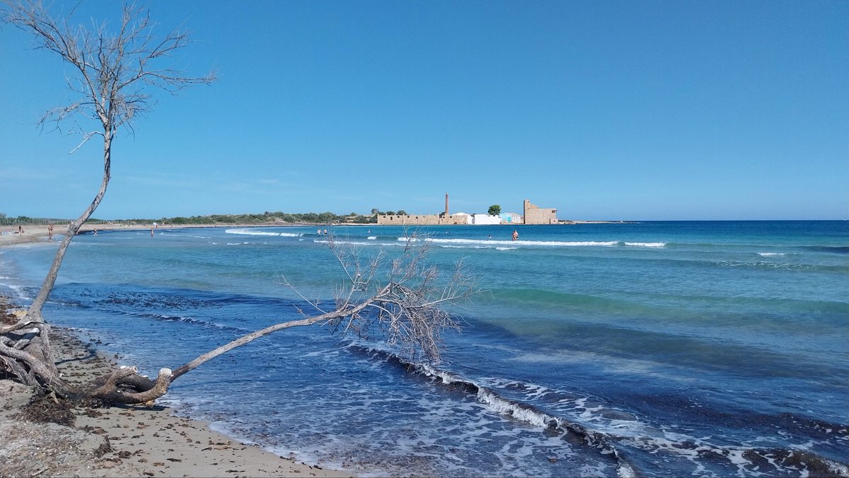 Luca Rinaldi tweet media