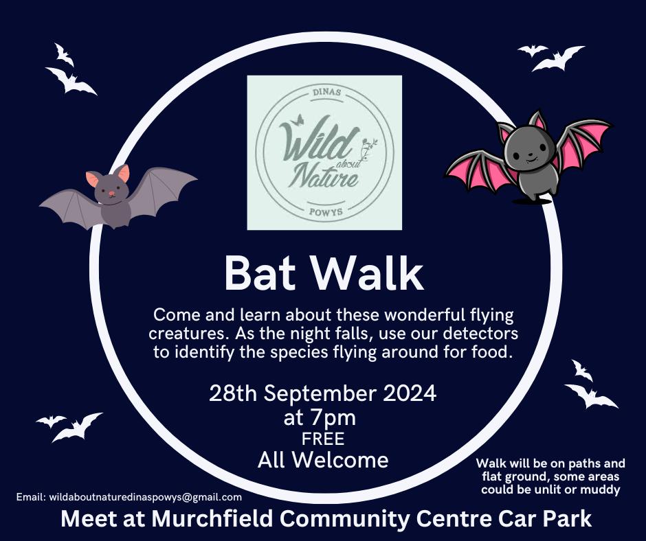 Dont forget our Bat Walk this Saturday. Weather is looking fine, but ground may be muddy.