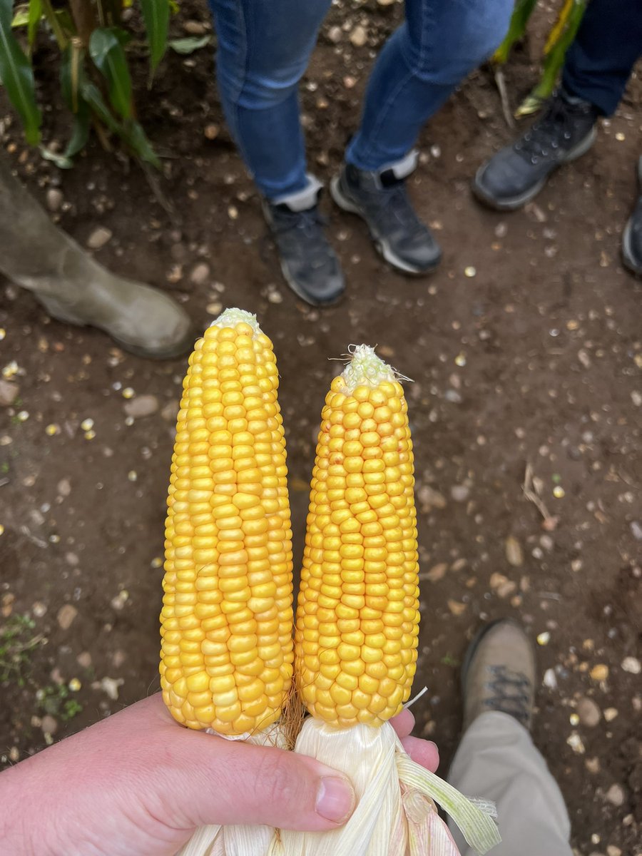 Rob Stuart tweet media