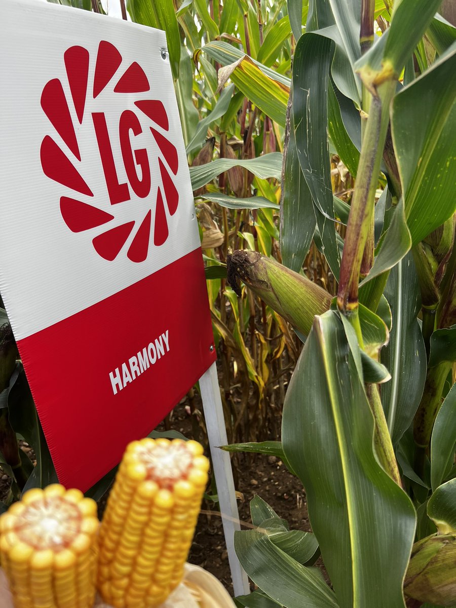 Rob Stuart tweet media