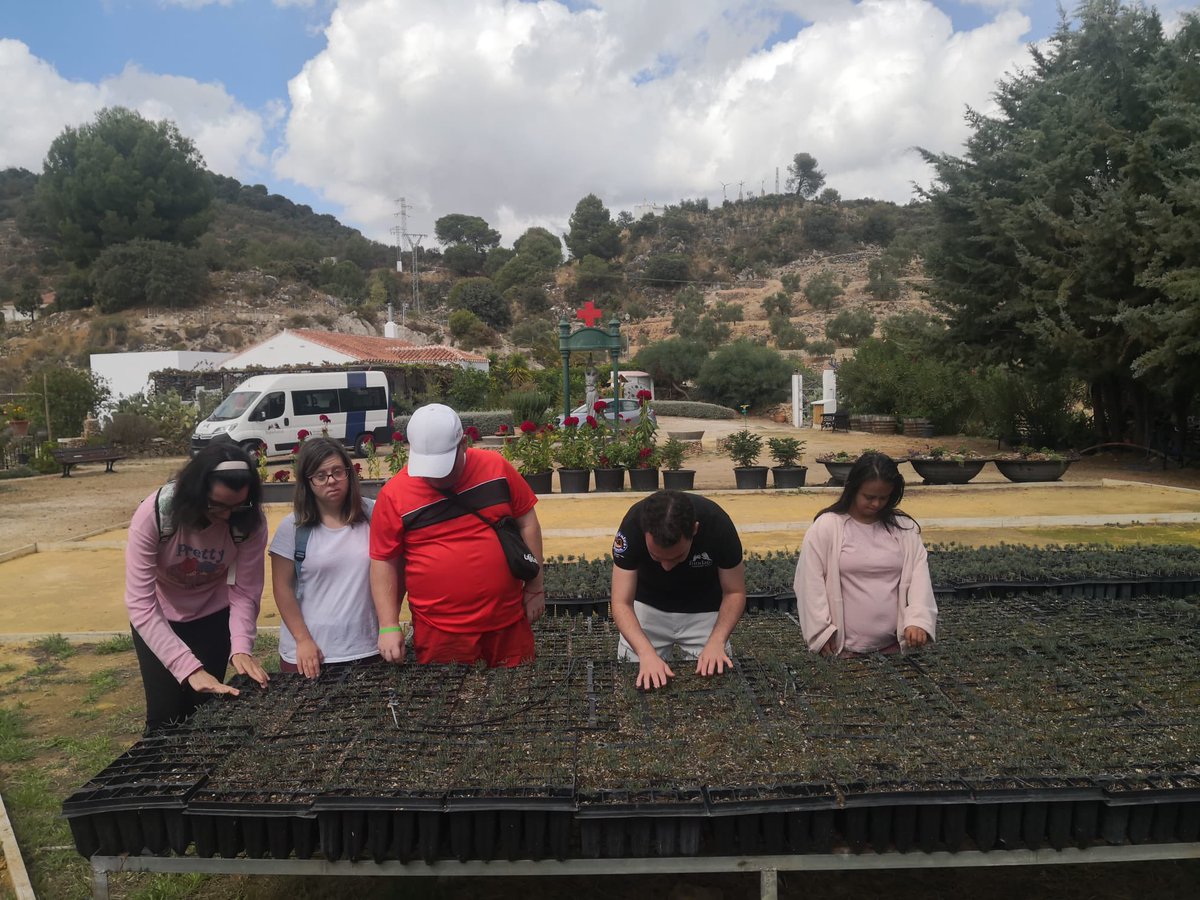 Fundatul tweet media