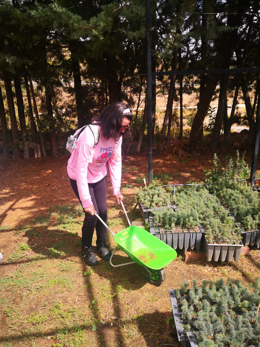 🚨Fundatul colabora con Cruz Roja en Yunquera Juntos capacitan a personas con discapacidad en el cultivo de flores comestibles
Esta alianza brinda nuevas oportunidades para aprender, crecer y promover la inclusión en un entorno natural 🍃✨. #sonosFundatul #FloresComestibles