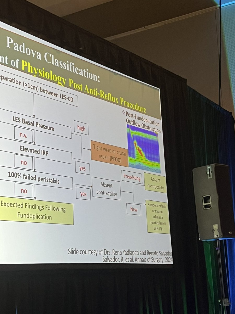 ellebelle18's tweet image. Pfoooo! It’s new. #afs2024