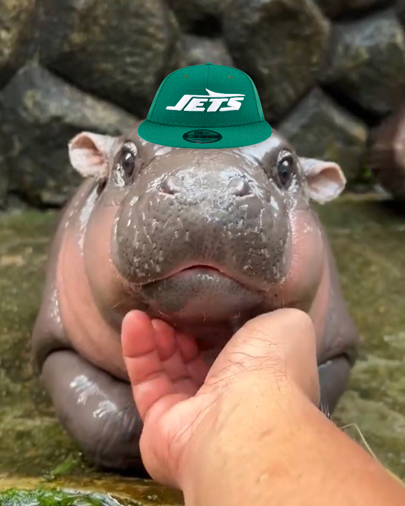 nyjets's tweet photo. us Saturday at 1pm vs. us Sunday at 1pm https://t.co/CLqr5PVVmU