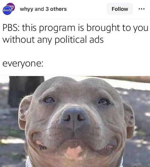 Joe Perin tweet media