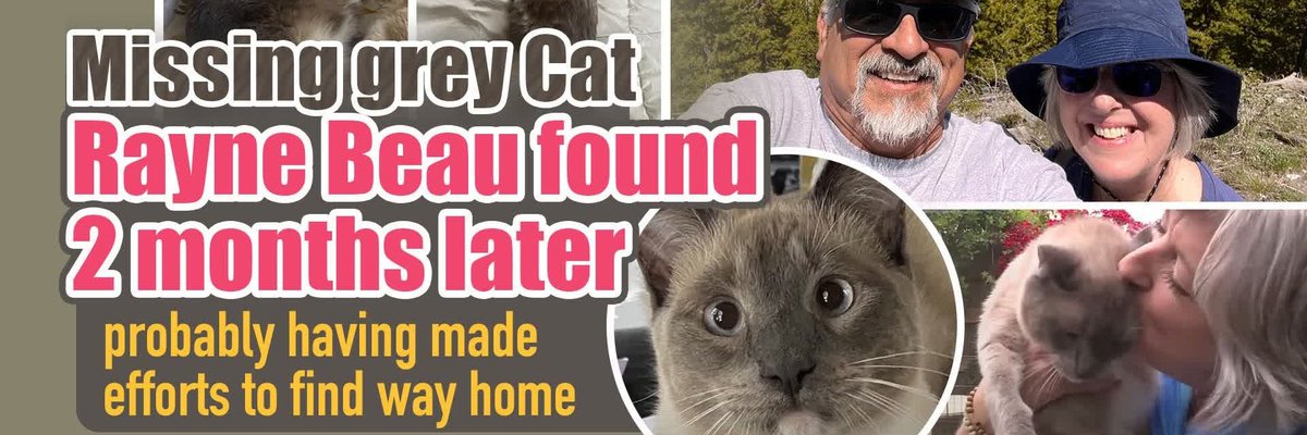 RayneBeauTheCat's tweet photo. @idrawline True.
Join the cat that never dies.
I am #RayneBeau. https://t.co/apxkbKHKay