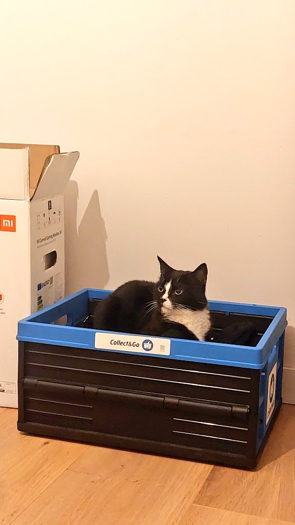 Rogue & Ranger tweet media