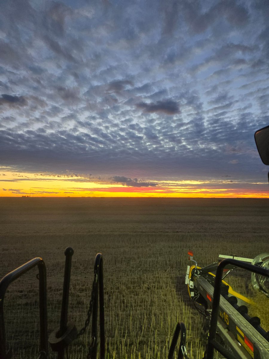 KF Kambeitz Farms (@kf1899) on Twitter photo 