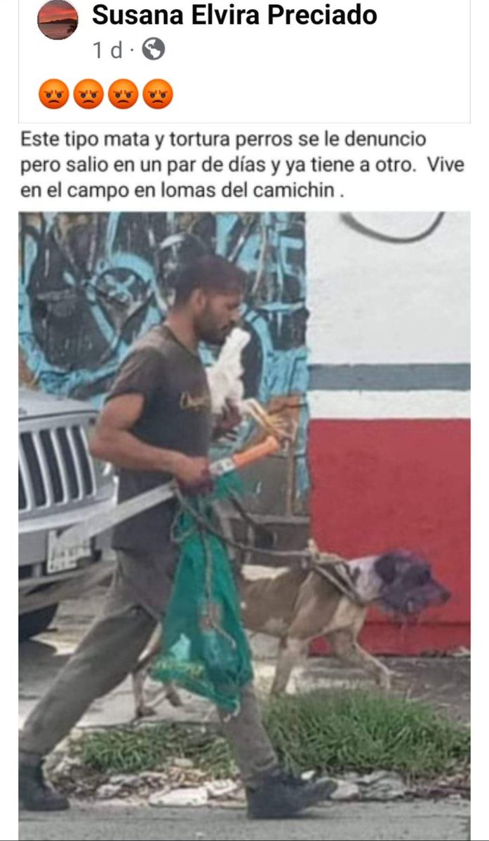 LicAnimalista's tweet photo. Urge su atención @FiscaliaJal , sucede en la zona de Tonalá. @GobiernoJalisco https://t.co/2XCU6Wut2J