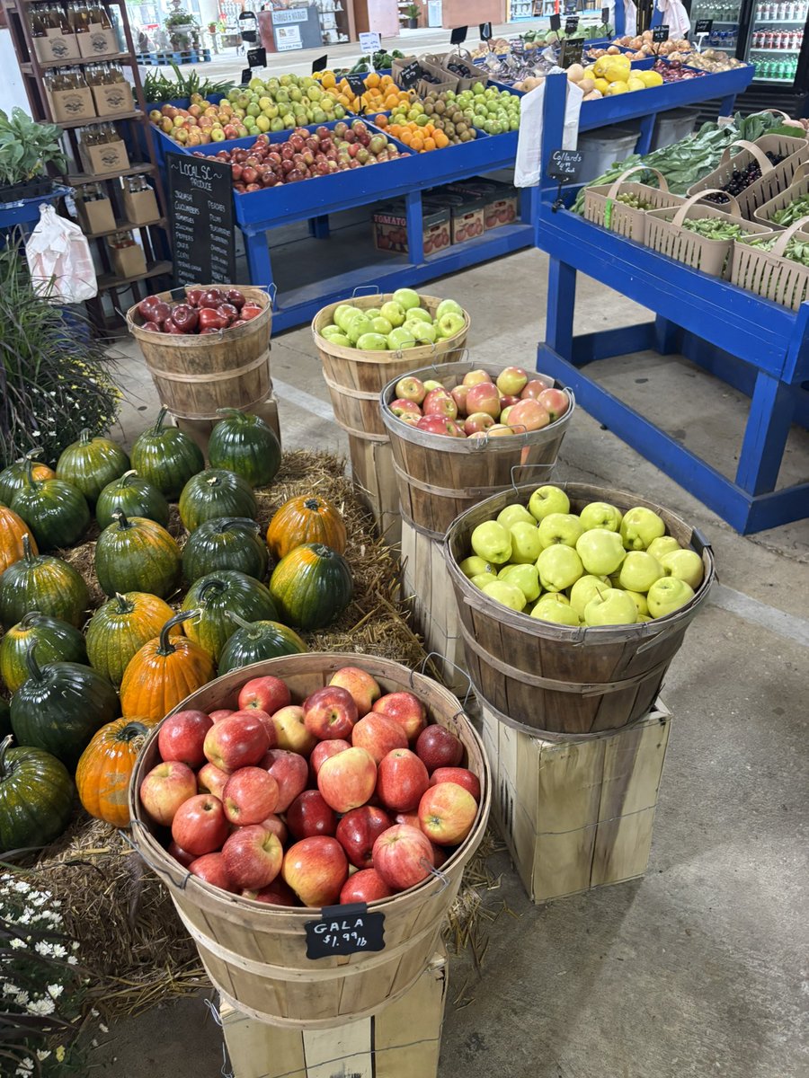 Kat Coker tweet media