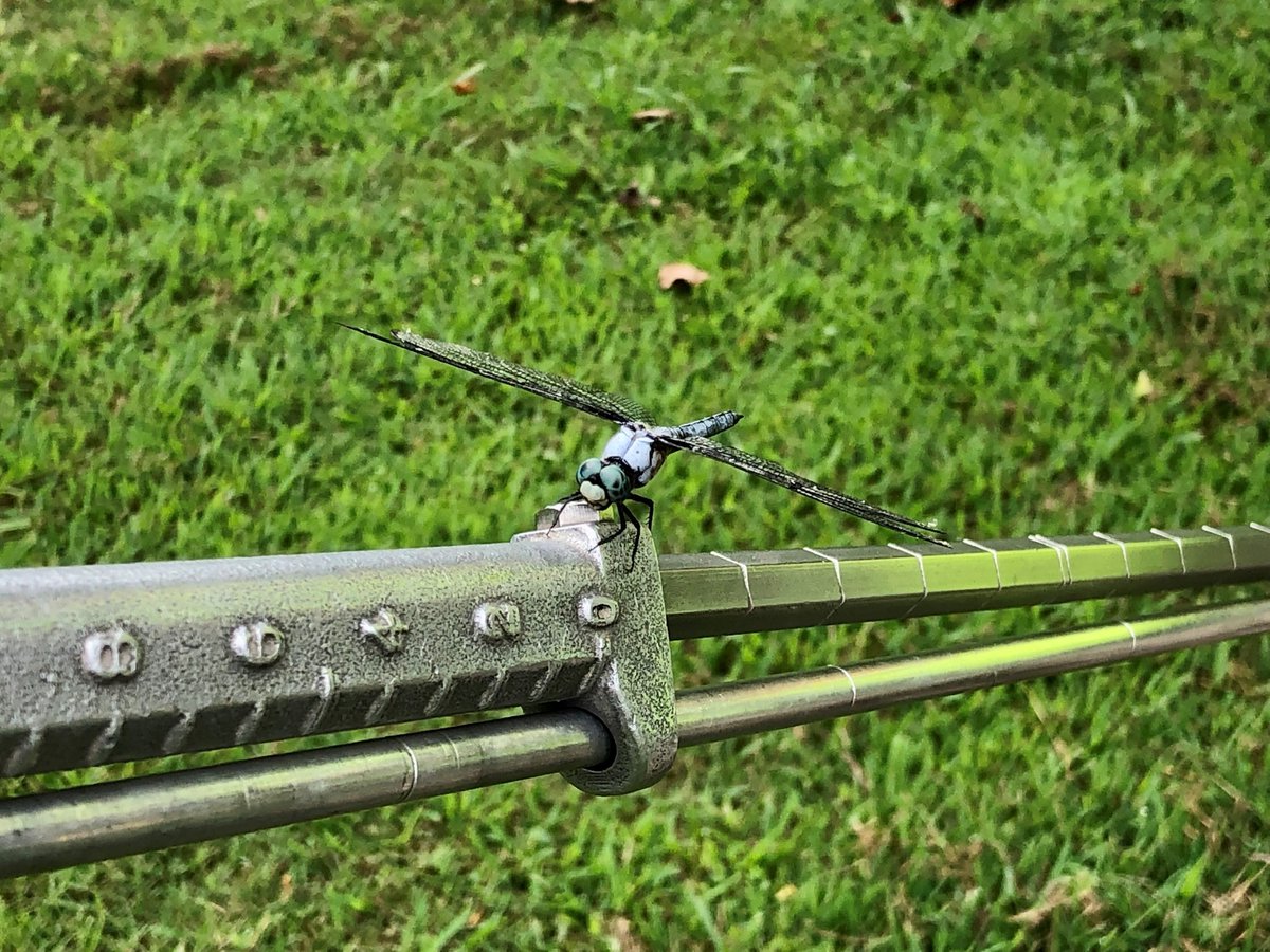 Congrats to Lindsay Wilson-Kokes of #CECNashville for winning our Photo of the Month contest for June! 👏

➡️The photo was taken in Jackson, Tennessee where CEC was hired by the City of Jackson to perform their MS4 stream monitoring.

#CECinc #MS4 #WaterResources #PhotoContest