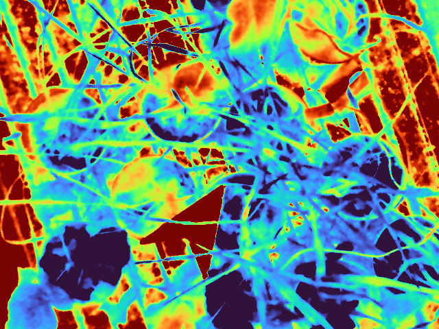 SeanMichaletz's tweet image. Looking for a postdoc in #Ecosphysiology, #ThermalEcology, #ForestEcology, and/or #GlobalChange? Let&apos;s apply for a #Killam Postdoctoral Fellowship to work with my group at @UBC in beautiful #Vancouver! Proposals are due Oct 21 - get in touch if interested! shorturl.at/KfHEz