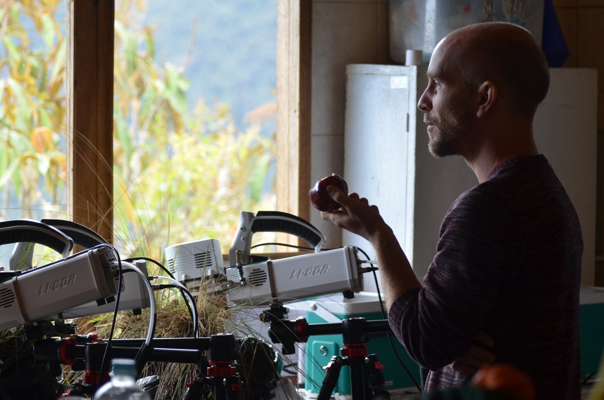 SeanMichaletz's tweet image. Looking for a postdoc in #Ecosphysiology, #ThermalEcology, #ForestEcology, and/or #GlobalChange? Let&apos;s apply for a #Killam Postdoctoral Fellowship to work with my group at @UBC in beautiful #Vancouver! Proposals are due Oct 21 - get in touch if interested! shorturl.at/KfHEz