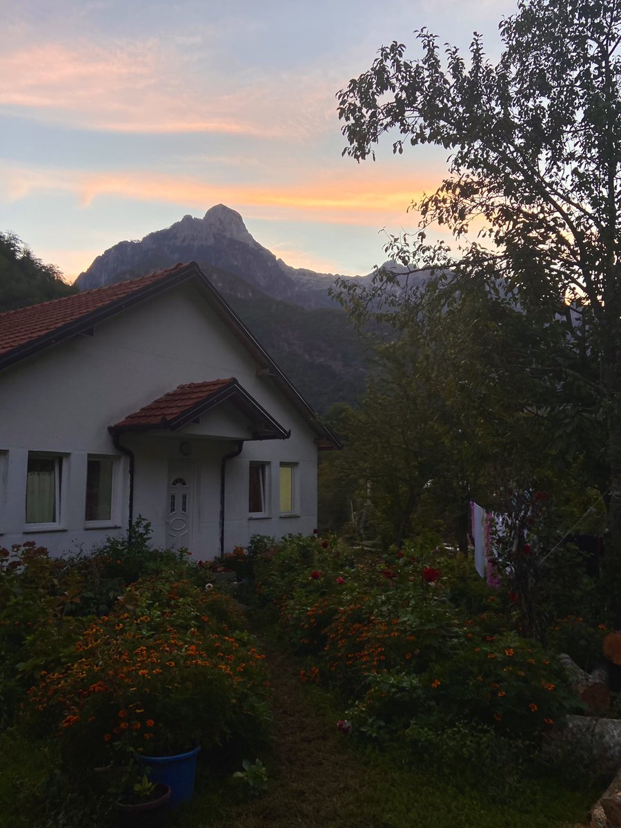 missmayahs's tweet photo. i’m in a tiny village in albania. a kind grandma saw me walking around and invited me to look at her garden, chickens and cow. her garden looked like mrs honey from matilda’s and there’s a river flowing at the end of it. she was so happy and welcoming despite not understanding a https://t.co/VgCmHDN036
