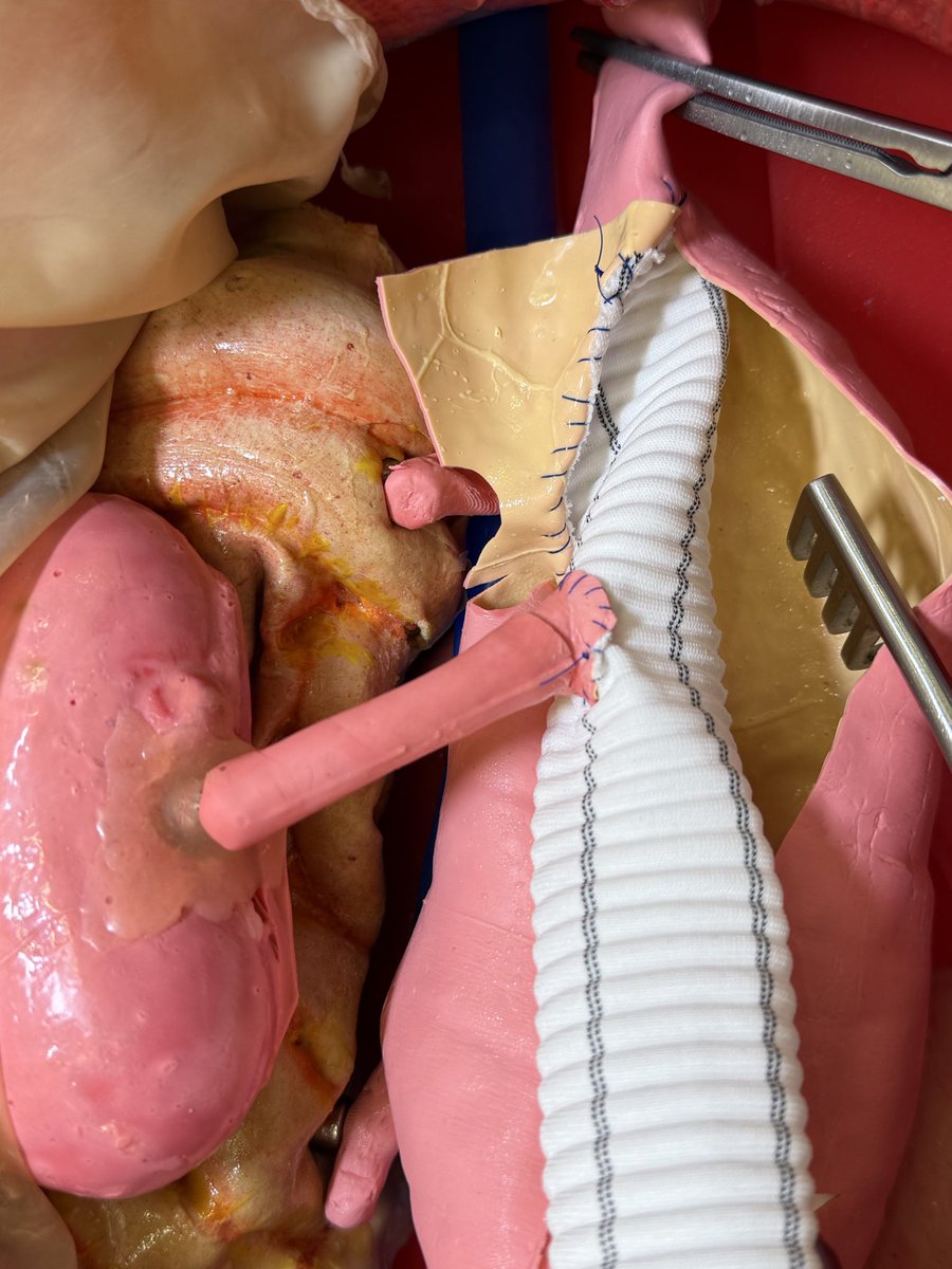 Xavier Berard tweet media