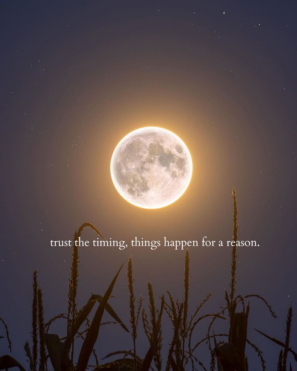 Mind_Essentials's tweet photo. https://t.co/FlNzvVvqz7