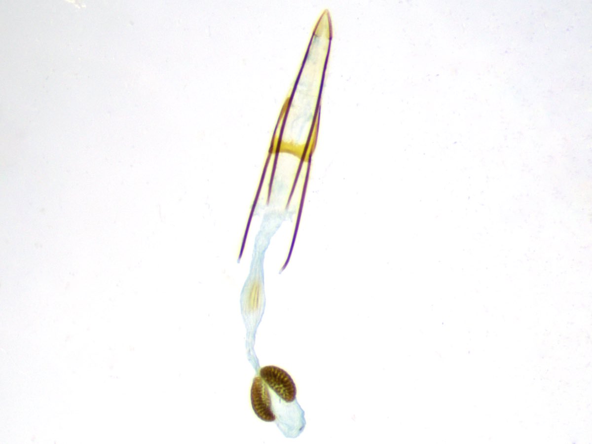 Dave Appleton tweet media