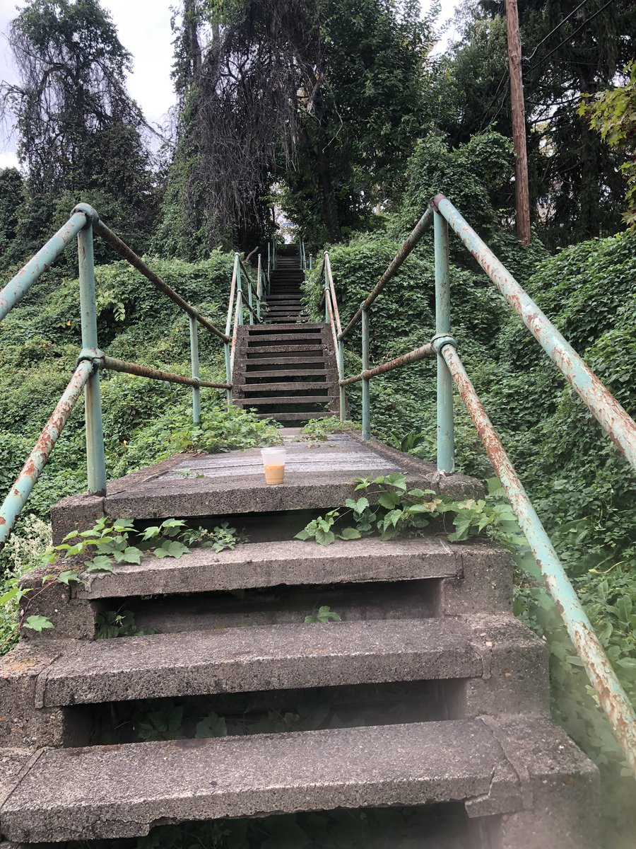 Laura Zurowski / Mis.Steps tweet media