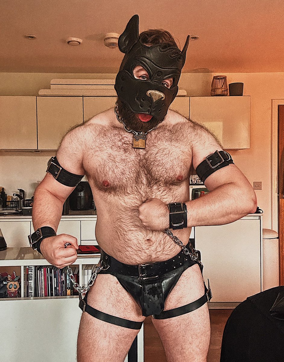 ScoutPupWoof tweet media