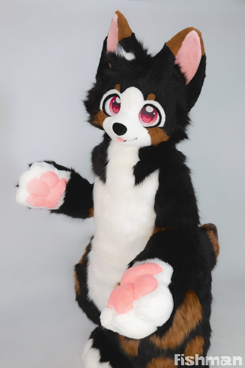 fishmimi_'s tweet image. 🤎🖤 Commission Finished 🖤🤎

Hope you like this mocha plushie puppy!

#fursuit #Fishmanworks #plushsuit