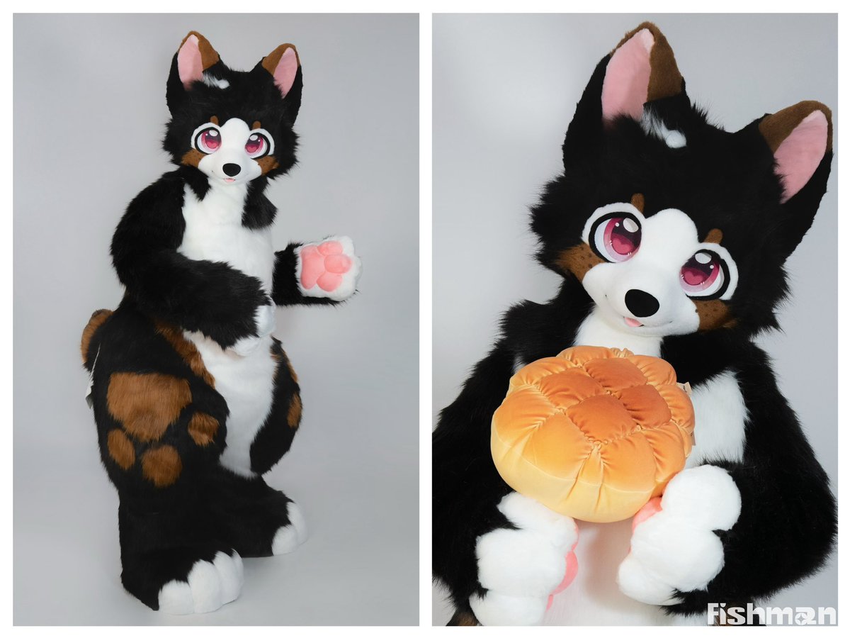 fishmimi_'s tweet image. 🤎🖤 Commission Finished 🖤🤎

Hope you like this mocha plushie puppy!

#fursuit #Fishmanworks #plushsuit