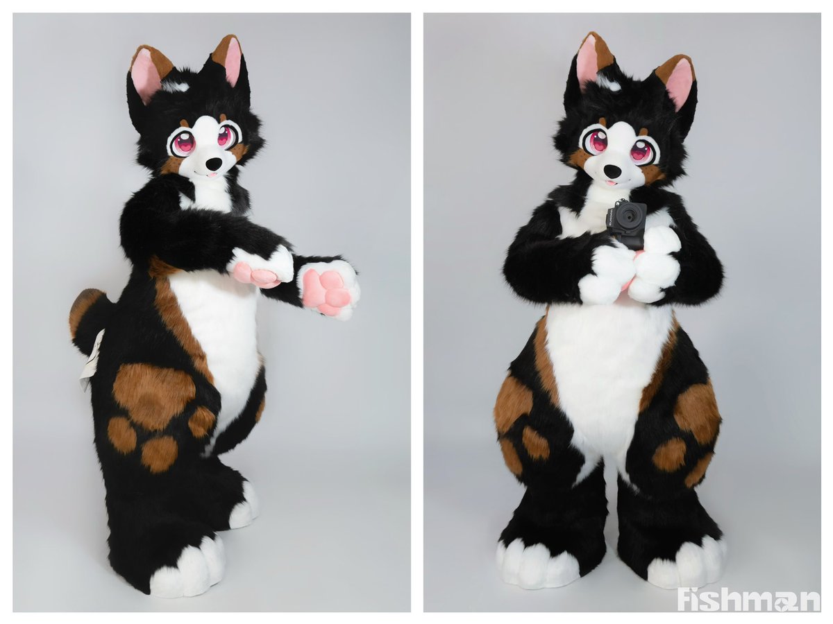 fishmimi_'s tweet image. 🤎🖤 Commission Finished 🖤🤎

Hope you like this mocha plushie puppy!

#fursuit #Fishmanworks #plushsuit