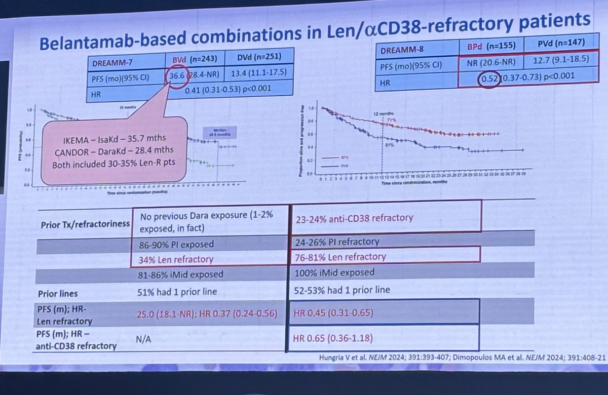 Georgia McCaughan tweet media
