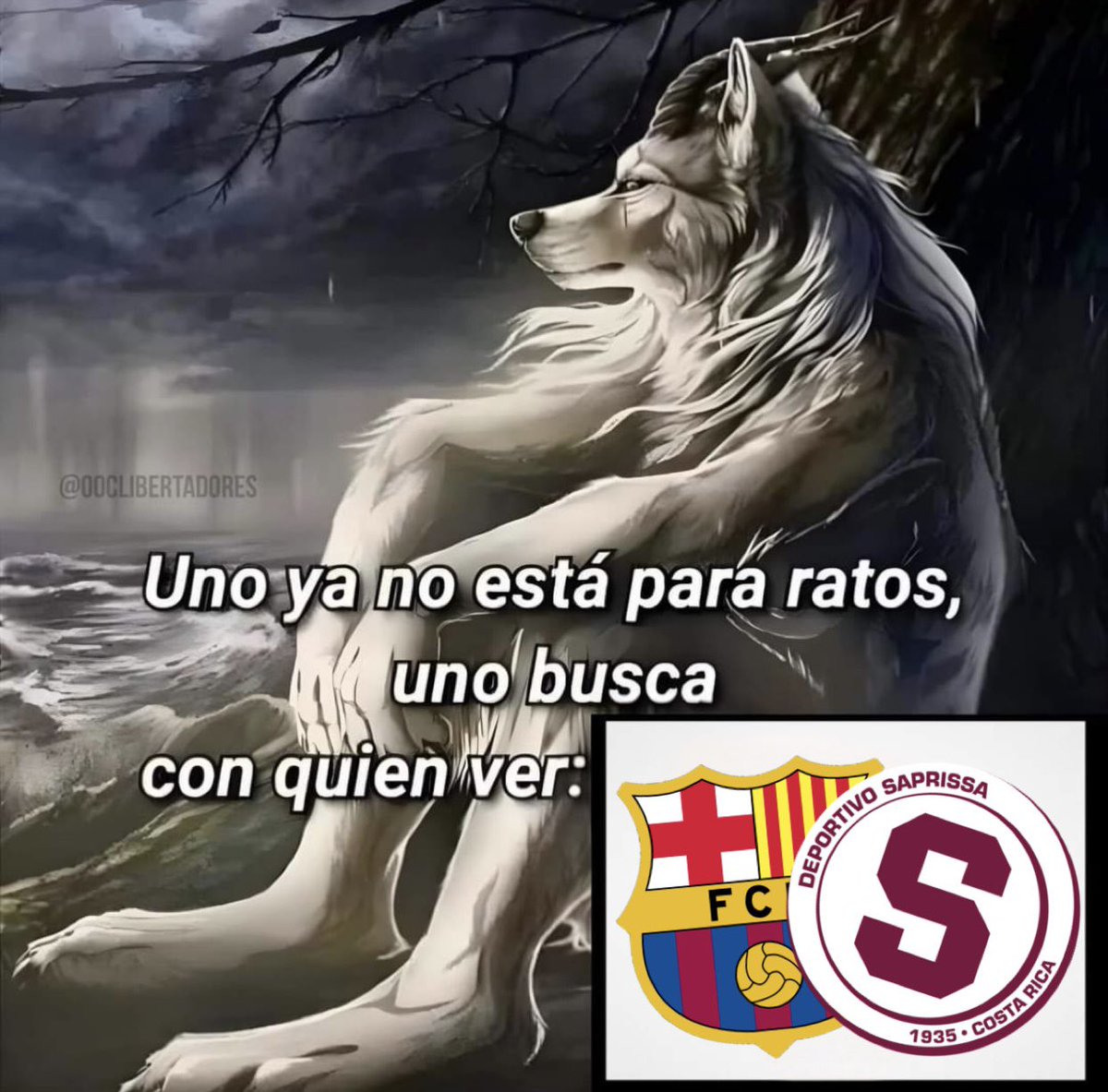 LaSapricola's tweet photo. 😔👌 https://t.co/ITVbHKa2uJ