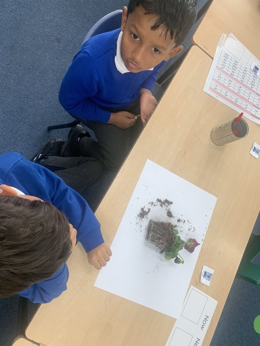 StSilasY2's tweet photo. In science we looked at the parts of a plant. Some of it was tricky! We used our phones to help us spell the parts. https://t.co/gHLC1TMrdk