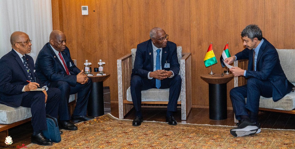 Le Premier ministre Amadou Oury Bah tweet media