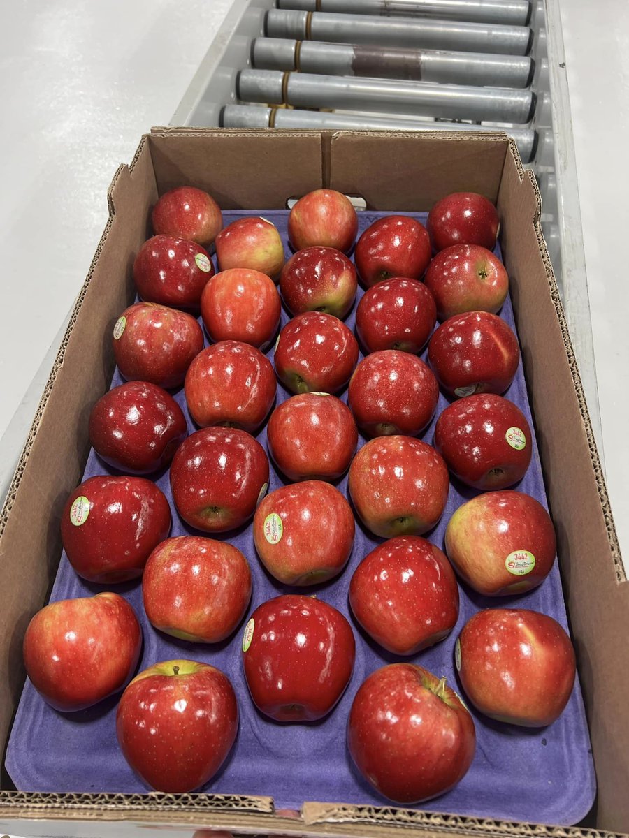 FruitNiagara's tweet photo. Look for Snapdragon apples at local stores. Get ready to enjoy Sunday night football with the official apple of the Buffalo Bills! #snapdragon #niagarafreshfruitco #lakesideorchards https://t.co/NMQgC8CugC