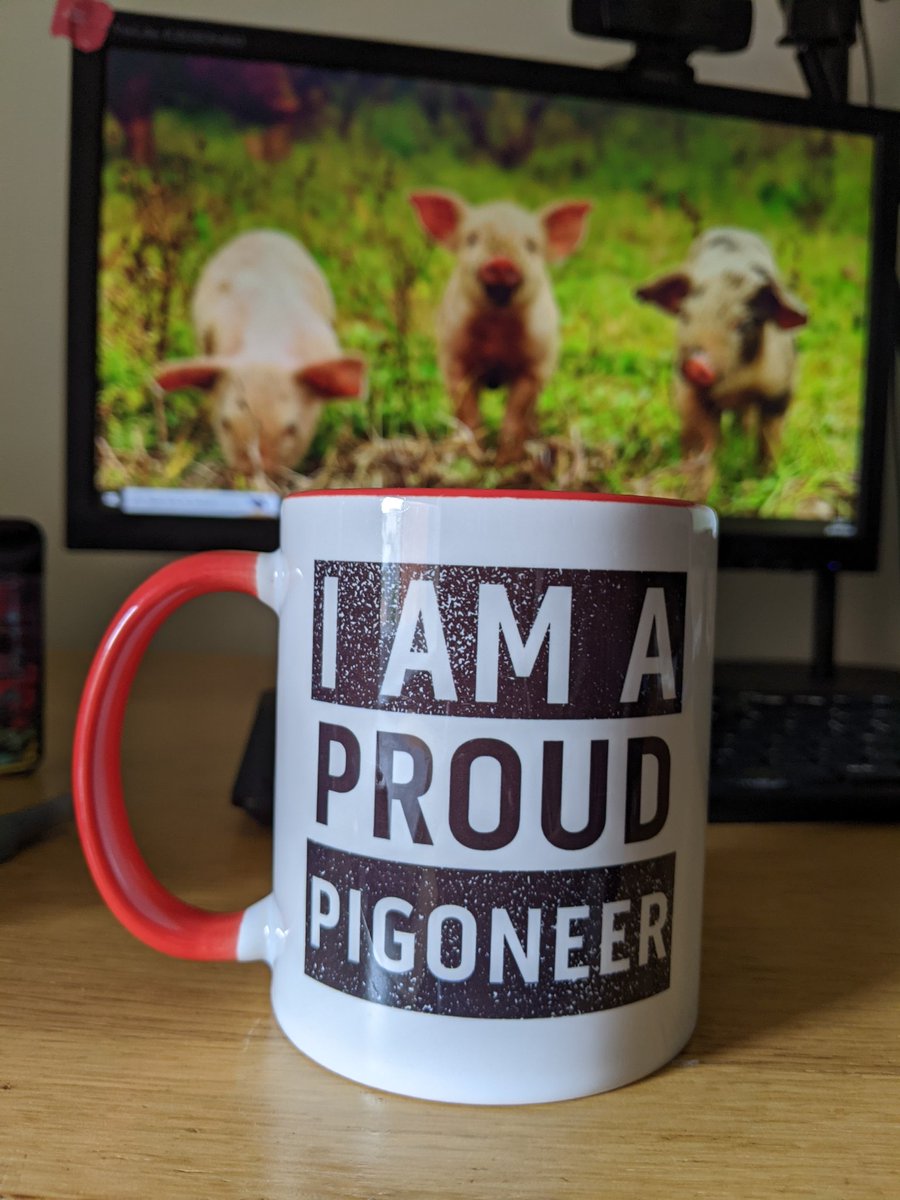 _veganayrto's tweet image. Who else is? 🐷 #pigoneer 

@BTWsanctuary is such a wonderful sanctuary and is in desperate need of our help. Please consider becoming a monthly donor and helping feed dozens of beautiful piggos 👉 globalvegancrowdfunder.org/pigoneer-2000-…