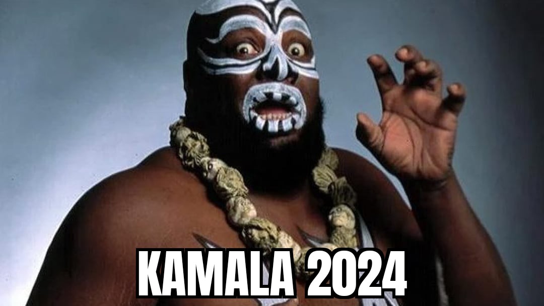 LoProfile1776's tweet photo. This is what I picture when someone tells me they're voting for Kamala. https://t.co/8m4lJgqpnJ