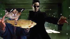 defi_shelbs's tweet photo. Why put 5 Sol and still get rugged by some group of Cto farmers 

Eth memecoins is where those funds should go and a recommendation is $GINNAN. 

Yeah $GINNAN DOGES BROTHER, from the family of kabosuu 

Less talk 

Come find out yourself! 

>> @ginnanctoeth 

0x375e104af98872e5b4fe951919e504a47db1757c