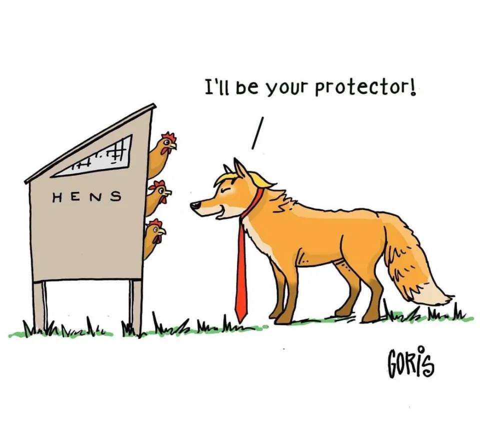 dailybeanspod's tweet photo. 🐺 🐓 https://t.co/MkUH6FnXIB