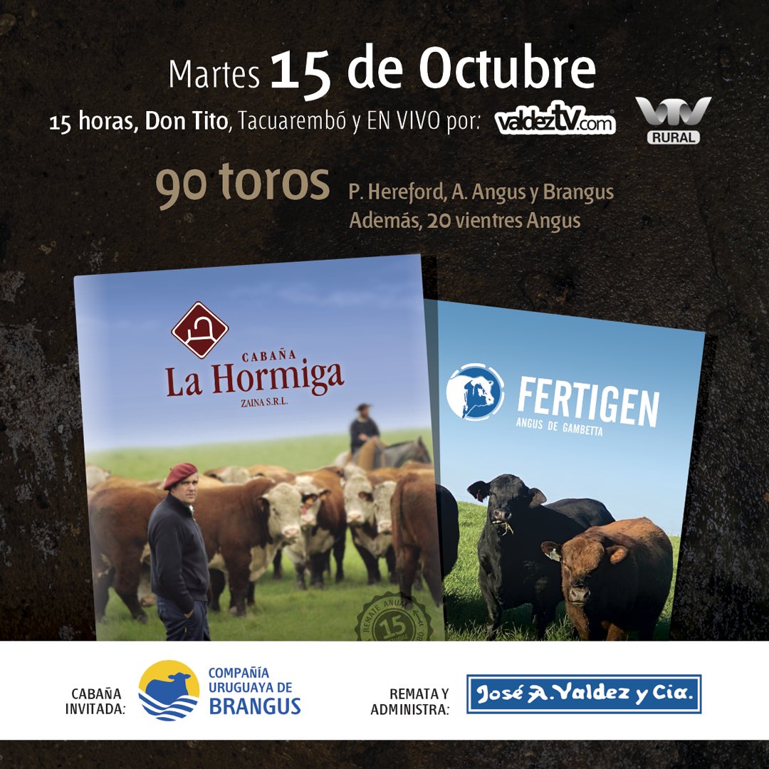 Fertigen_uy tweet media